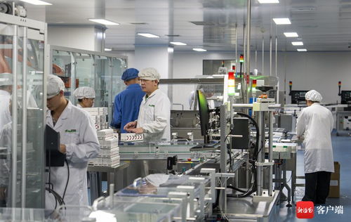 樂城研用，海口生產 科賽拉玻璃拋光粉引領創新制造模式落地
